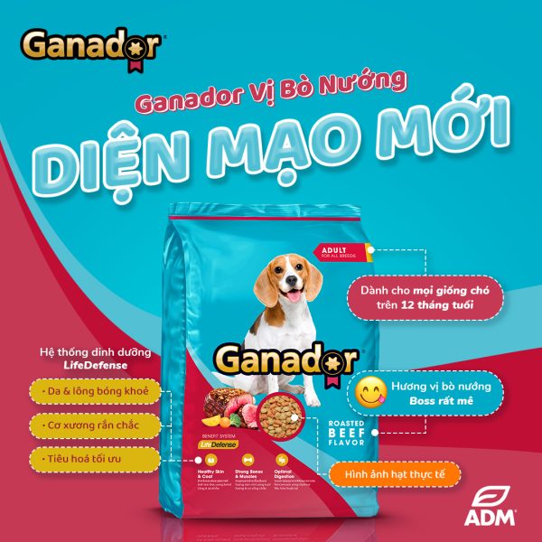 3 Gói 400g Thức Ăn Hạt Chó Lớn Ganador Roasted Beef Flavor - Vị Bò Nướng - Thức ăn hạt cho Chó - Ảnh 5