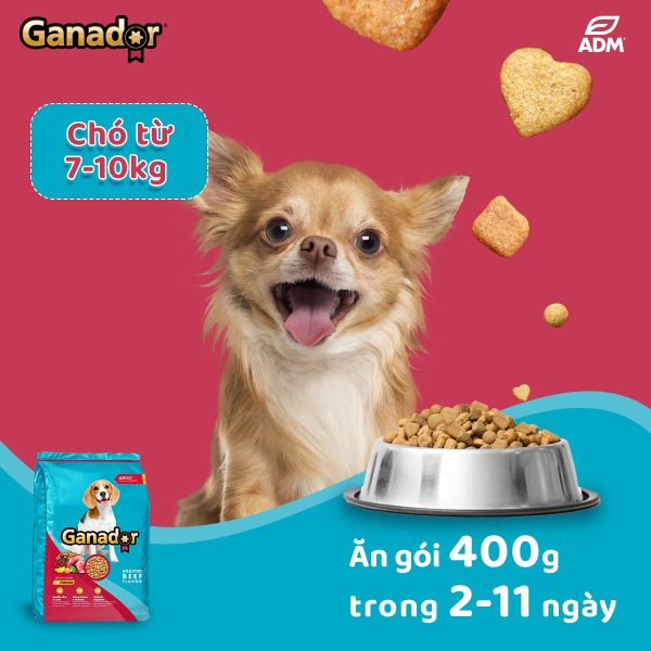 3 Gói 400g Thức Ăn Hạt Chó Lớn Ganador Roasted Beef Flavor - Vị Bò Nướng - Thức ăn hạt cho Chó - Ảnh 2