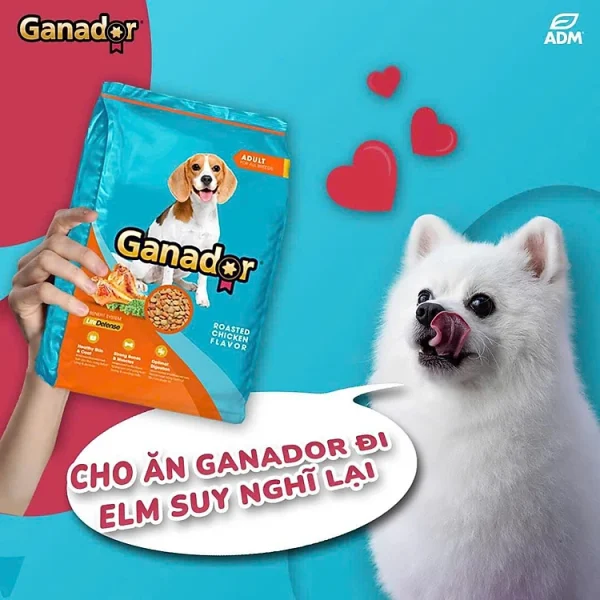 3 Gói 400g Thức ăn cho chó trưởng thành Ganador Vị gà nướng - Ganador Adult Roasted Chicken Flavor - Thức ăn hạt cho chó - Ảnh 6
