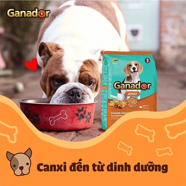 3 Gói 400g Thức ăn cho chó trưởng thành Ganador Vị gà nướng - Ganador Adult Roasted Chicken Flavor - Thức ăn hạt cho chó - Ảnh 5