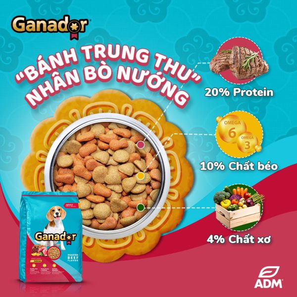 3 Gói 400g Thức Ăn Hạt Chó Lớn Ganador Roasted Beef Flavor - Vị Bò Nướng - Thức ăn hạt cho Chó - Ảnh 4