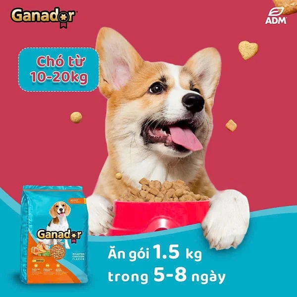 3 Gói 400g Thức ăn cho chó trưởng thành Ganador Vị gà nướng - Ganador Adult Roasted Chicken Flavor - Thức ăn hạt cho chó - Ảnh 4