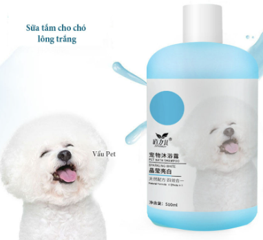 sữa tắm cho chó poodle trắng