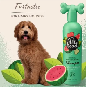 sữa tắm tốt cho chó poodle