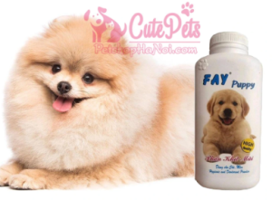 top sữa tắm cho chó