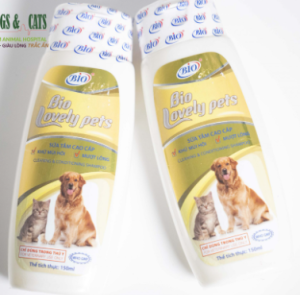 sữa tắm cho chó poodle trắng