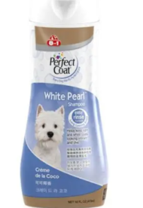 sữa tắm cho chó poodle trắng